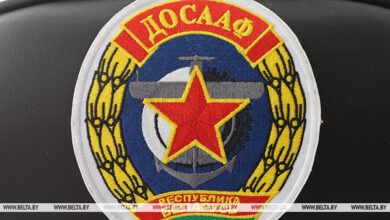 Photo of Картинг, парашютизм. В ДОСААФ назвали самые результативные виды спорта в Витебской области