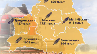 Photo of Ход сельскагаспадарчых работ