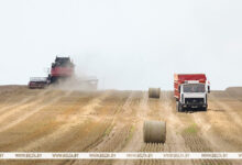 Photo of Belarus’ grain harvest past 3.7m tonnes