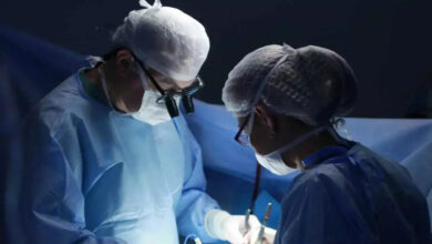 Photo of China reports first successful pig lung transplant into human body: Nature