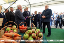 Photo of Lukashenko promises support to private farmers