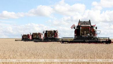 Photo of Harvest season in Belarus
